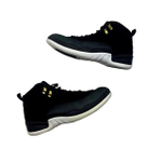 Кроссовки Nike Air Jordan 12