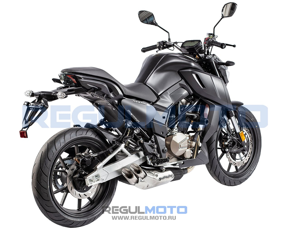Мотоцикл Regulmoto ALIEN MONSTER 300