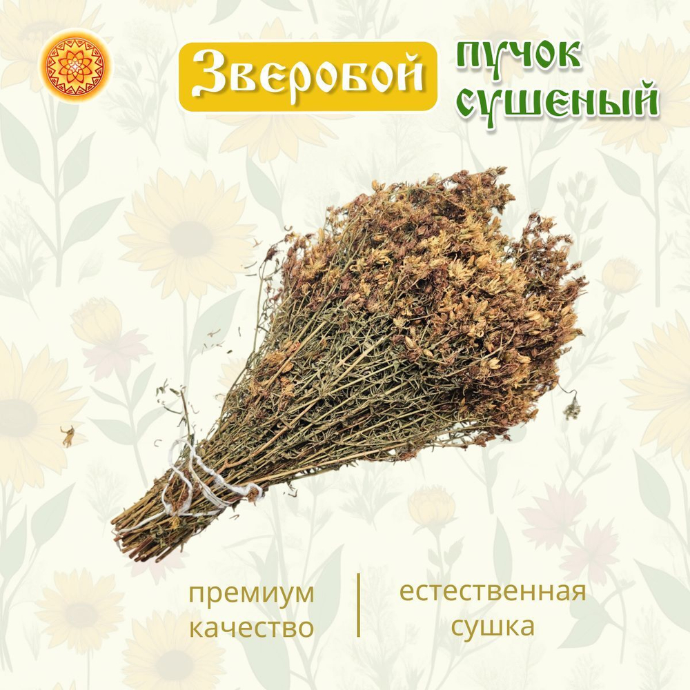 Зверобой пучок.