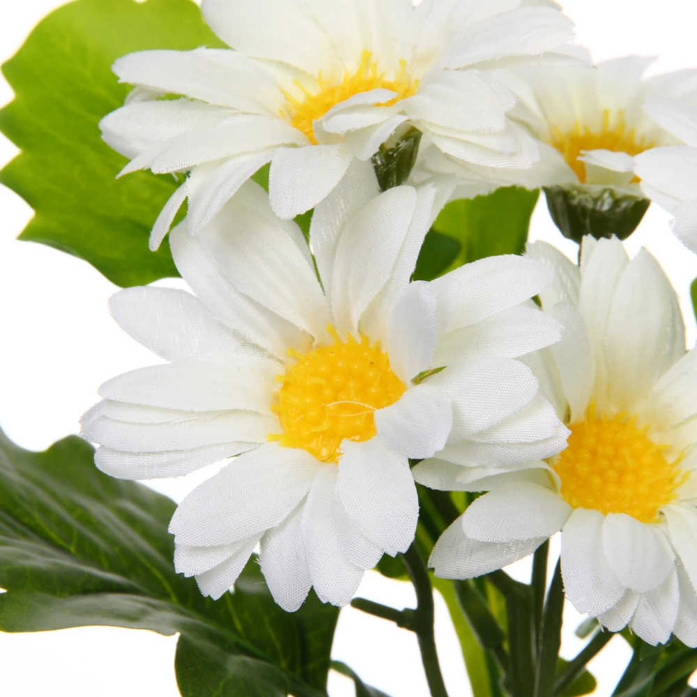 Цветочная композиция «Поцелуй лета» Хризантема белая 20см