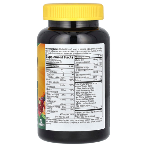 Nature's Way, Alive! жевательный мультивитамин для взрослых, фруктовый вкус, 90 жевательных мармеладок