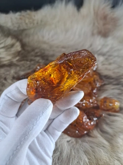 Молодой янтарь Копал коллекционный 11 гр