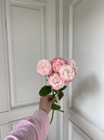 Пионовидная кустовая роза Мадам Бомбастик