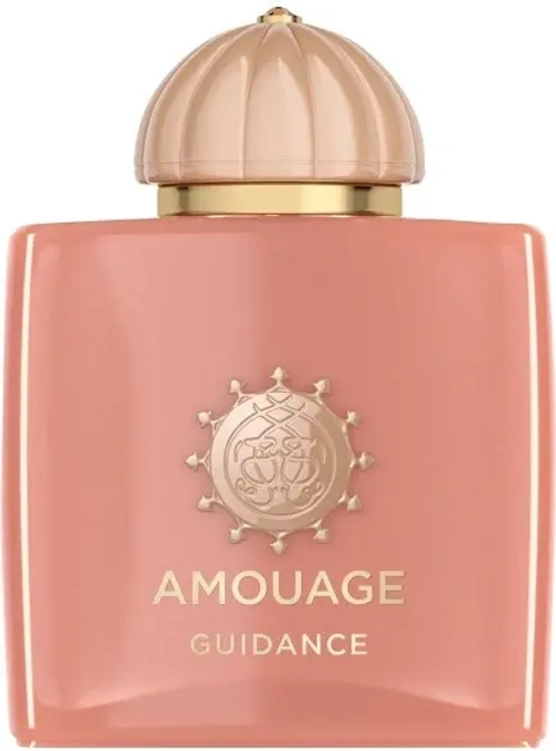 AMOUAGE GUIDANCE EDP 100 ML