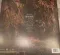 Wardruna – Birna - Amber 2LP