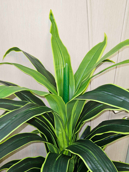 Композиция Интерьерная с драценой королевской в высоком кашпо