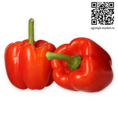 Алзамора F1 семена перца сладкого (Rijk Zwaan / Райк Цваан)