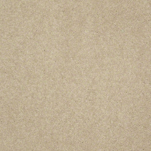 Ковровое покрытие Shaw Floors See the World III 111