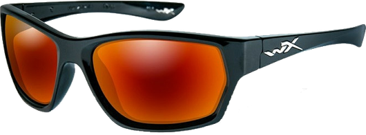 Очки WILEY X MOXY