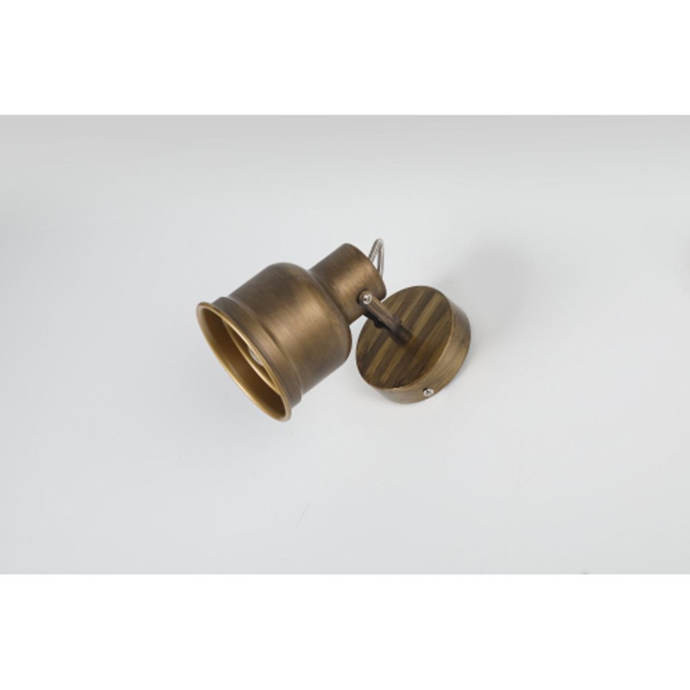 Светильник настенно-потолочный спот Rivoli Inessa 7035-701 поворотный 1 х Е27 40 Вт