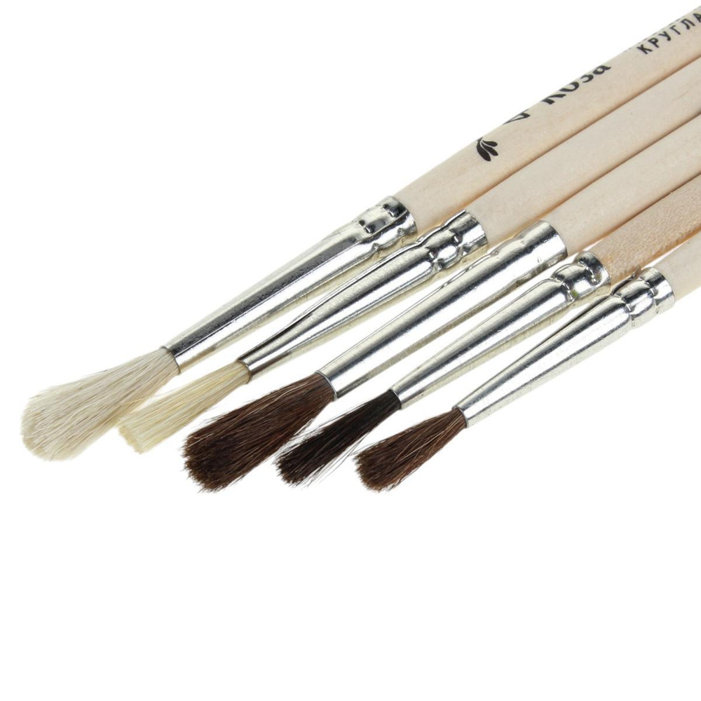 Набор 5 кистей "Золотой шар" Н5-18222 (Артком)