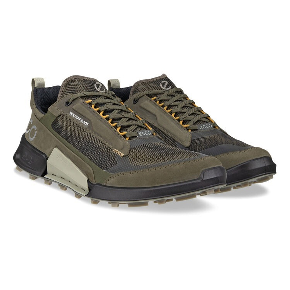 Кроссовки мужские ECCO BIOM 2.1 X MOUNTAIN M