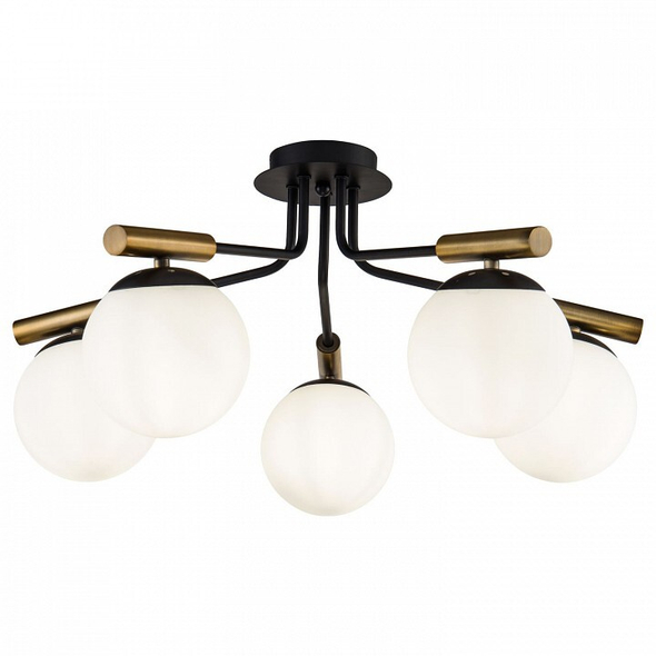 Накладная люстра Freya FR5011CL-05B