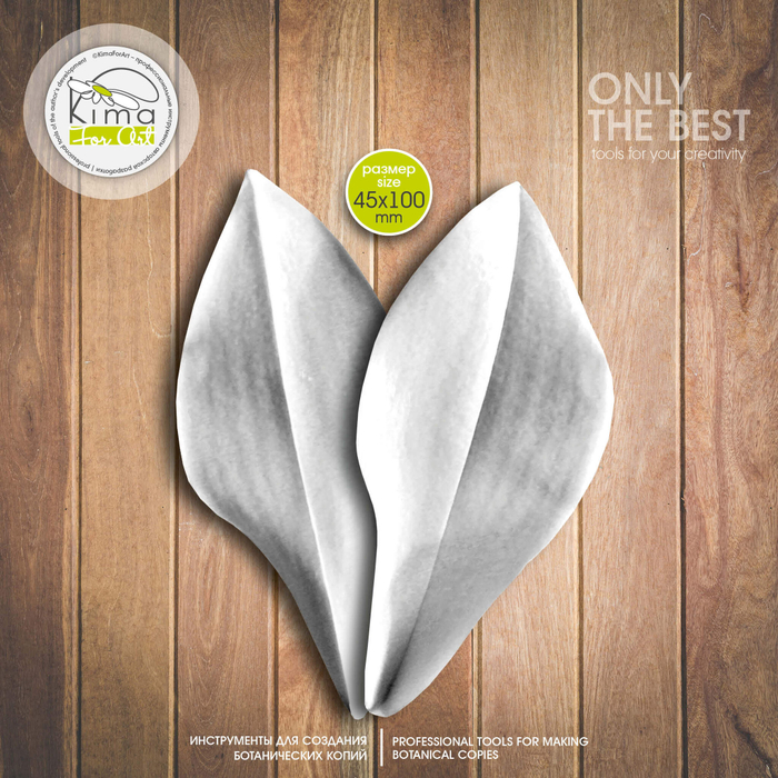 Фаленопсис лист маленький