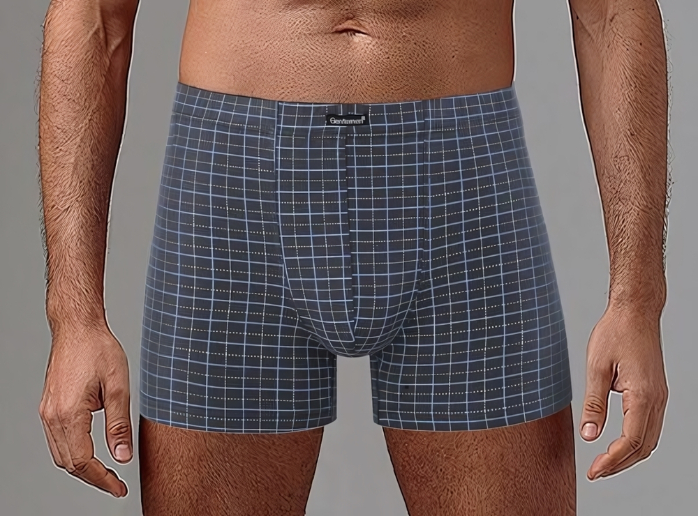 Клетчатые мужские боксеры (Размер: L) (Цвет: бежевый)