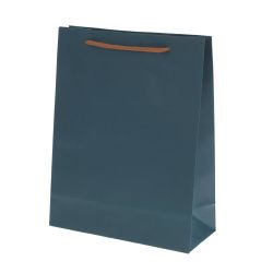 GAEM Пакет подарочный (бумага 210г/м2, блок 12шт), L19 W8 H24,5 см, 4в.