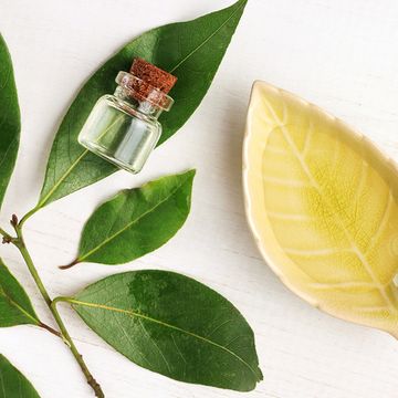 Laros Beauty Тонизирующий шампунь Tea Tree Shampoo, 30 мл