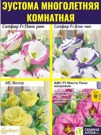 Эустома многолетняя, комнатная - набор семян