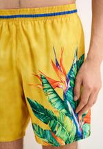 Мужские пляжные шорты