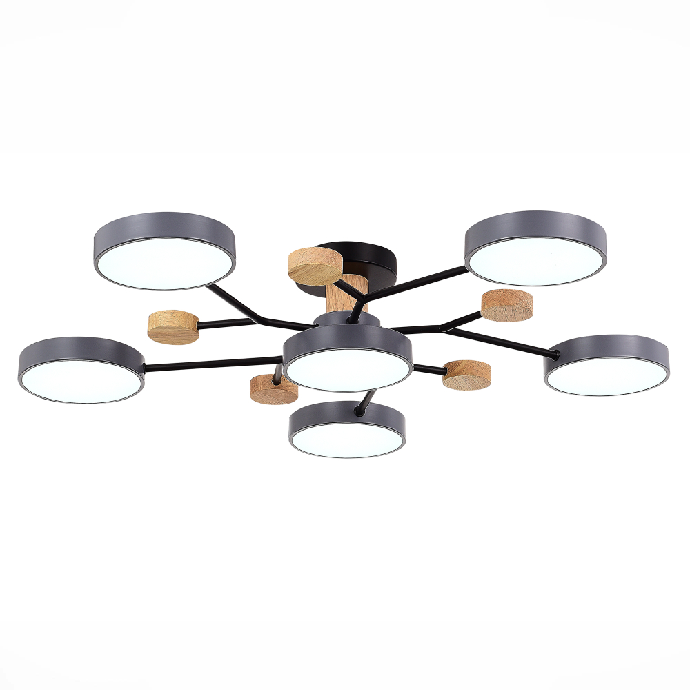 Светильник потолочный Evoluce Faema SLE6006-702-06