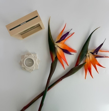 Цветок Стрелиции / Арт 2166