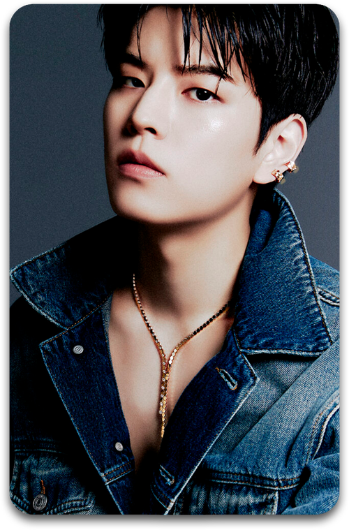 Карта / STRAY KIDS #3317