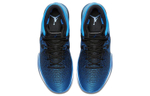 Кроссовки Jordan Air Jordan 31 Royal