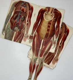 Платен М. Новый способ лечения. Лечение целебными силами природы. — Берлин: Изд. Просвещение, 1901