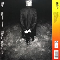 Sting. The Bridge (1 LP) Стинг