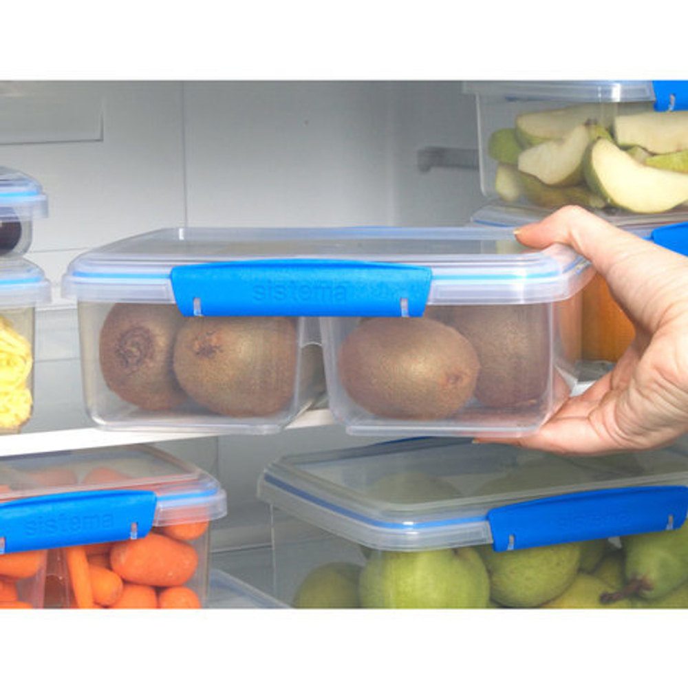 Контейнер двойной 2л Sistema Fresh синий