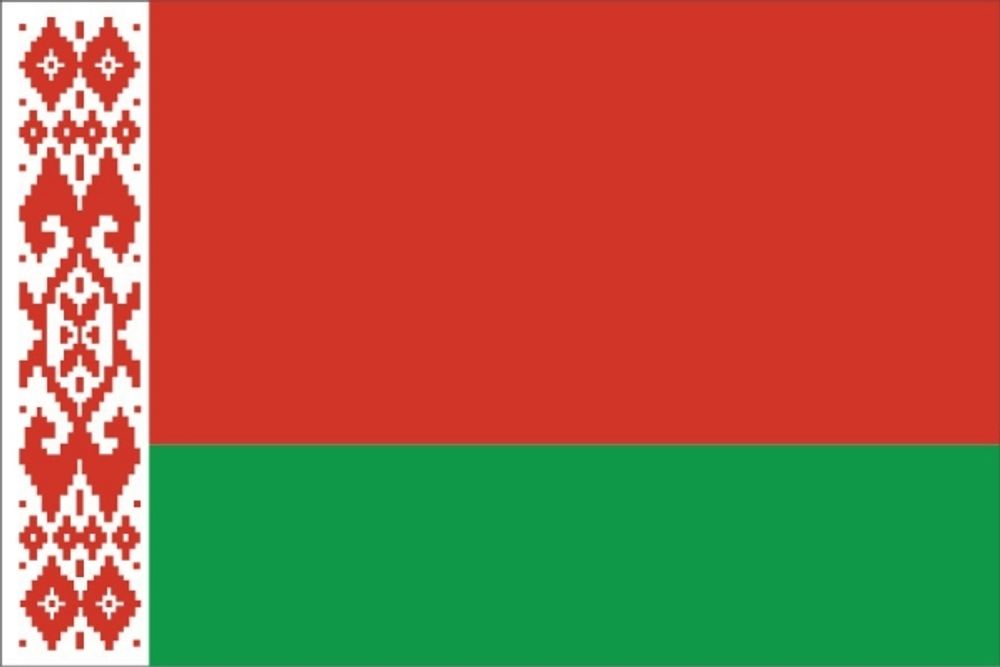 Флаг Беларусь 12х18см