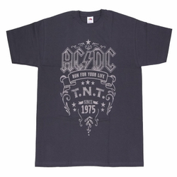 Футболка AC/DC - TNT ( графитовая)