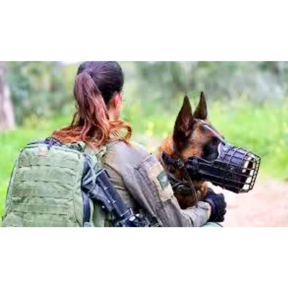 Намордник ударный металлический обливной K9 INDUSTRIES