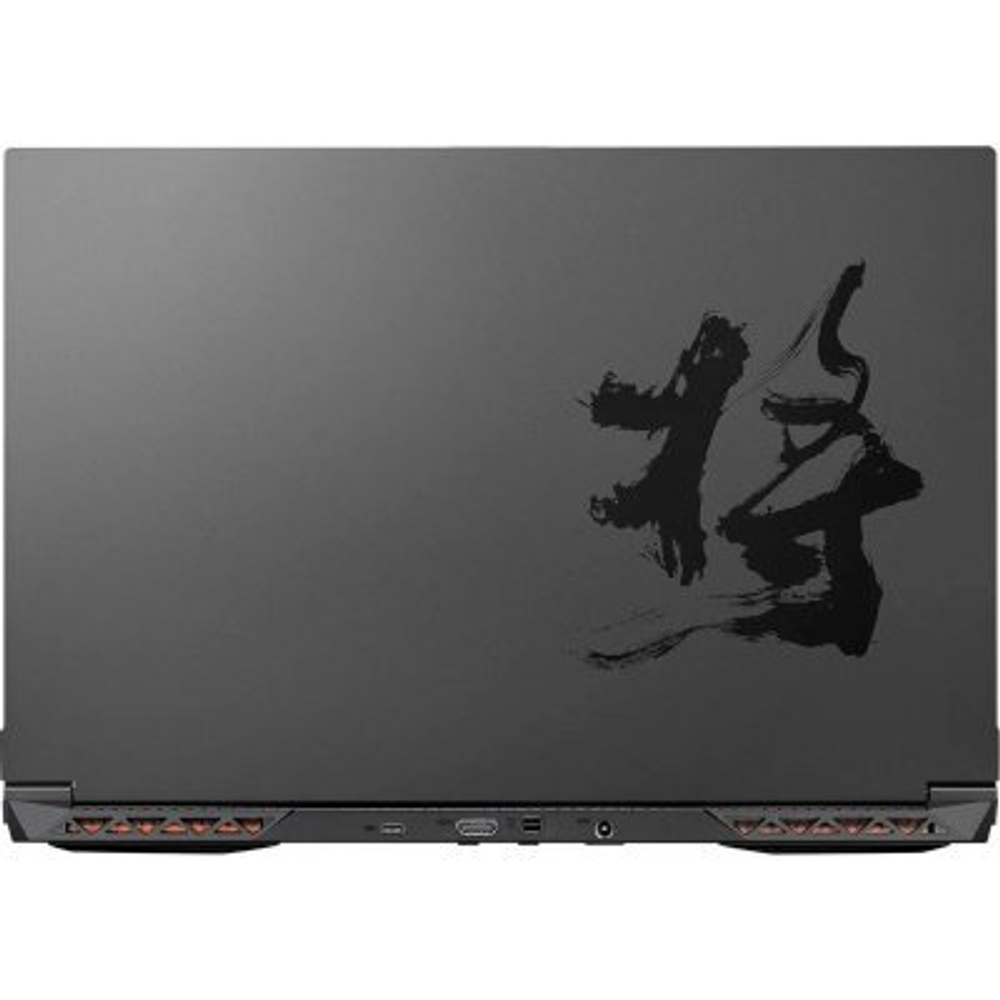 Ноутбук Colorful EVOL X17 AT 23H1 A10205400072