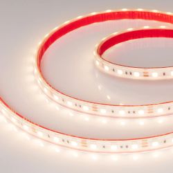 Светодиодная лента герметичная RTW-PS-B60-12mm 12V Warm3000 (14.4 W/m, IP67, 5060, 5m) (Arlight, 14.4 Вт/м, IP67) 022325(2)