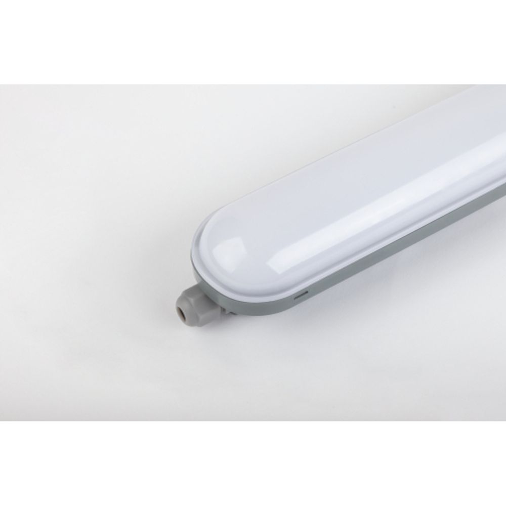 Линейный светодиодный светильник ЭРА SPP-201-0-65K-018 18Вт 6500К 1710Лм IP65 600 матовый