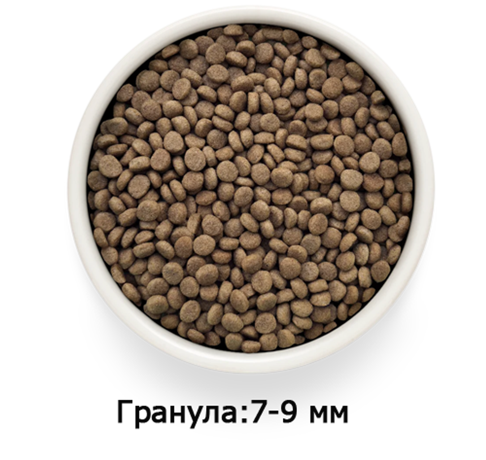 GRANDORF VETDIET Gastrointestinal Moderate Calroie - ВЕТДИЕТА для кошек с проблемами ЖКТ.