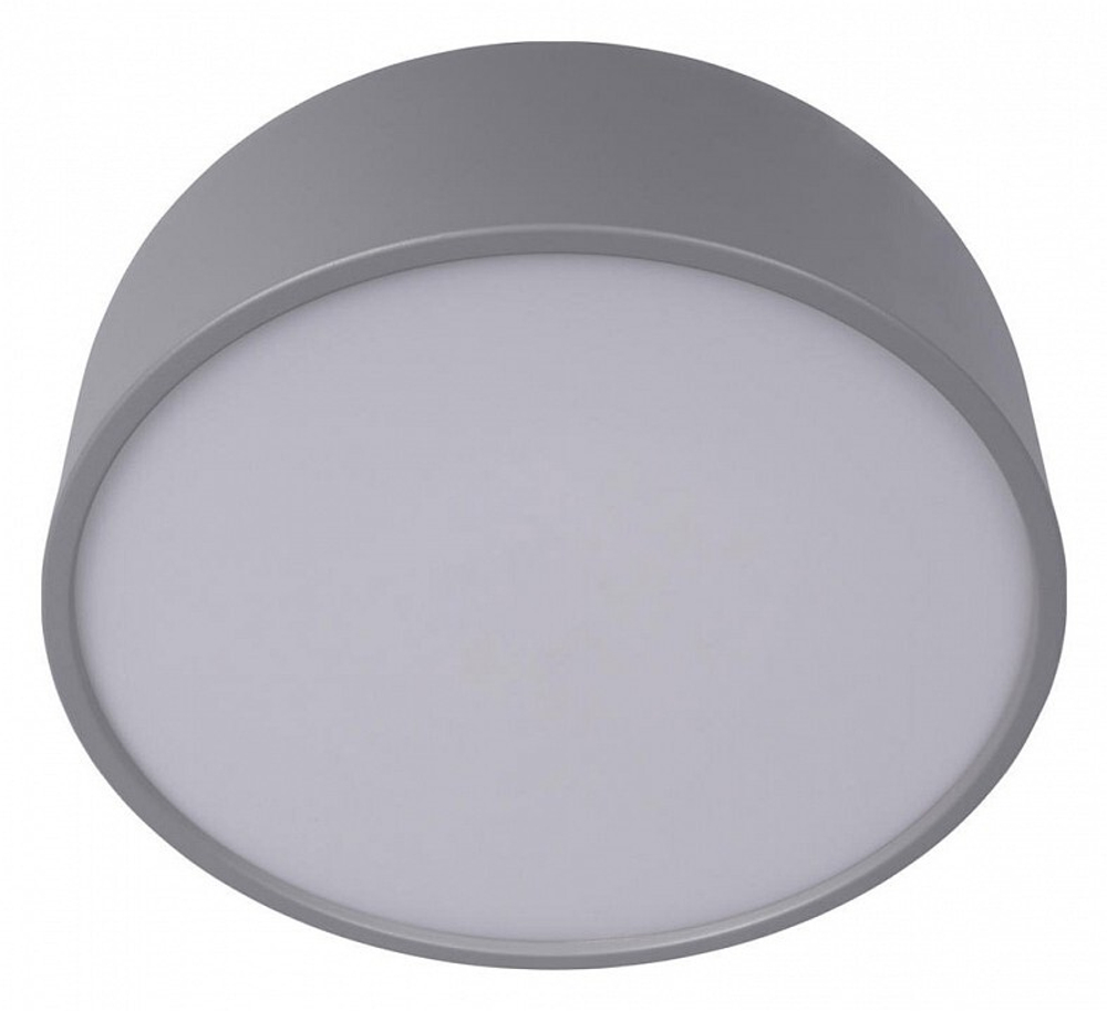 Накладной светильник Loft it 10201/350 Grey