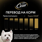 Говядина и кролик со шпинатом в соусе, 85г влажный корм для собак, Cesar