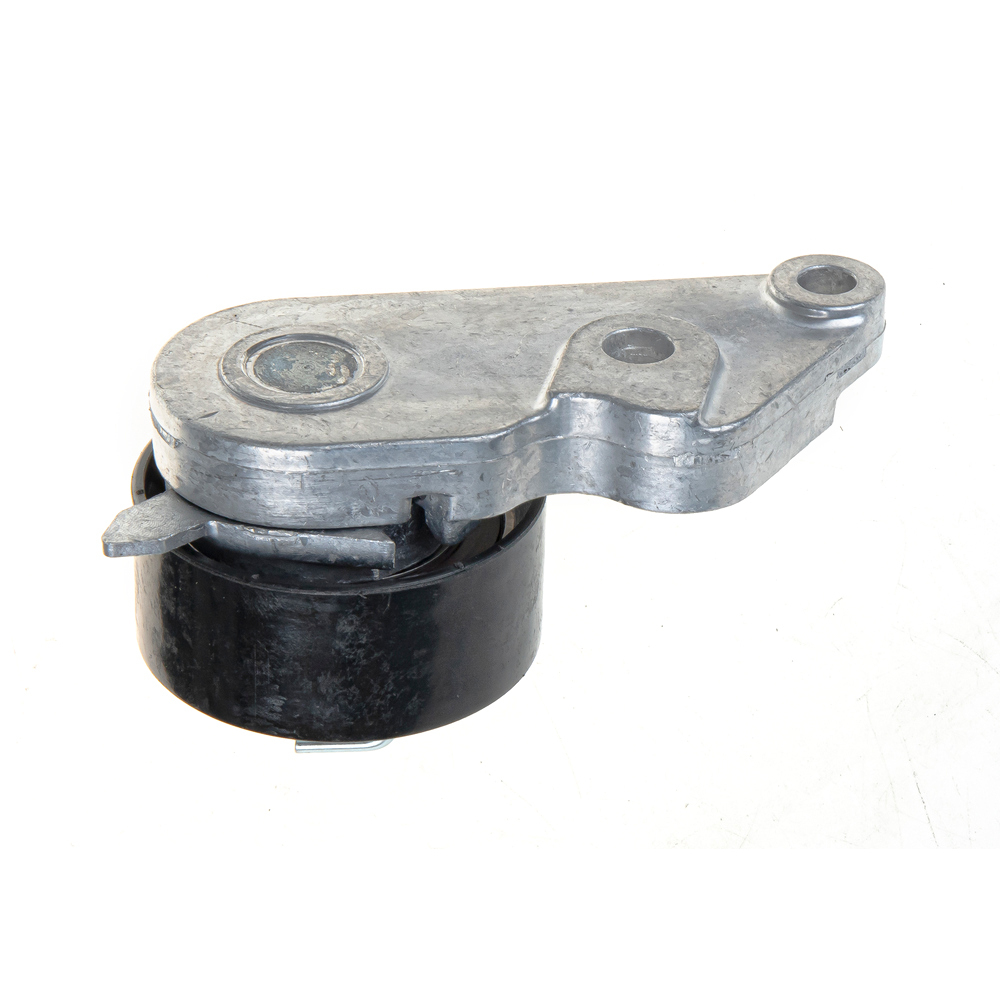 Ремкомплект ГРМ FORD Focus II/Fusion 1.4/1.6 (проверить ролик) GANZ GIE34043