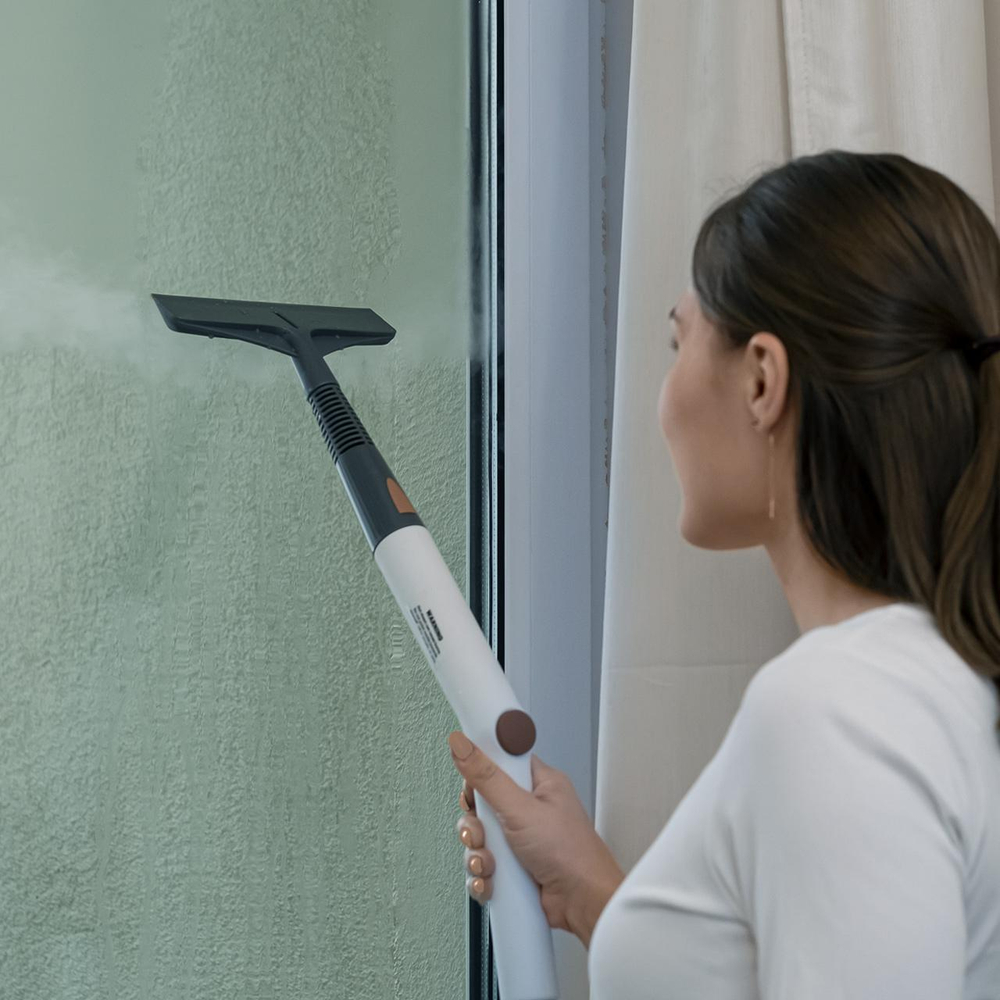 Пароочиститель BORT BDR-3000-RR