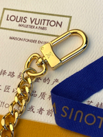 Louis Vuitton Mini Pochette Accessoires