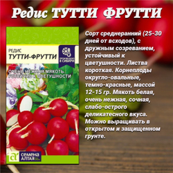 Набор семян редиса: лучшие сорта для урожая в вашем саду. Семена Алтая