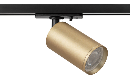 Трековый светильник ЭРА TR39-GU10 MG