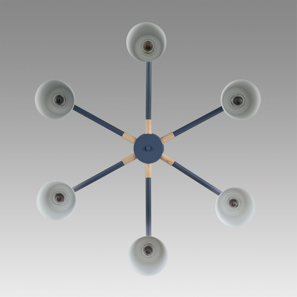 Потолочная люстра Lumion ROSALINA 8098/6C