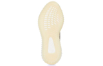 Кроссовки Adidas Originals Yeezy Boost 350 V2 "Zyon"