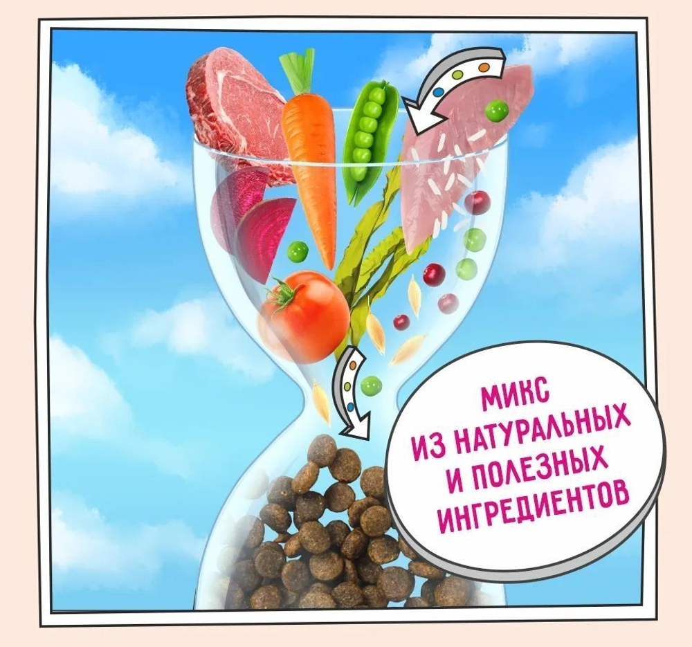 Корм для кошек сухой ZILLII Cat Adult Indoor 2кг, для домашних животных, с индейкой и ягнёнком