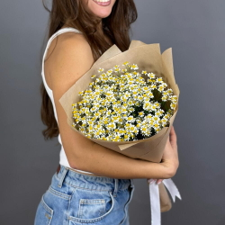 Букет из ромашек