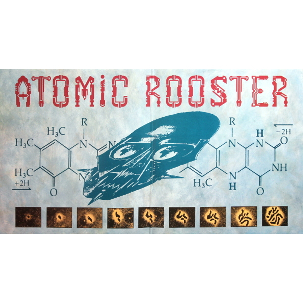 Atomic Rooster / Home To Roost (2LP)
