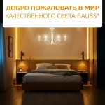 Лампочка светодиодная E14 Свеча на ветру 8W теплый свет 2700К УПАКОВКА 10 шт. Gauss Elementary Filament